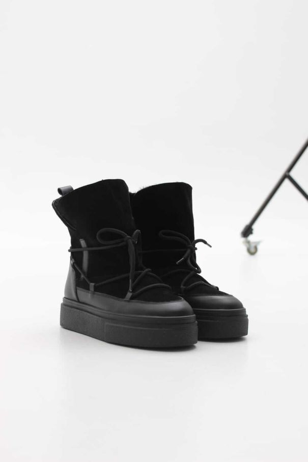 Луноходи чорні