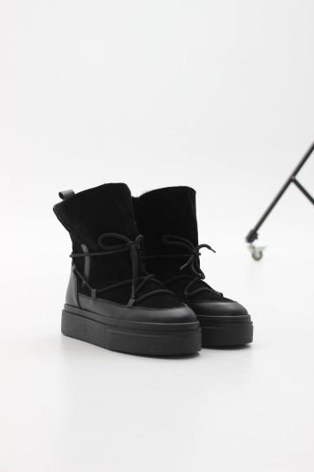 Луноходи чорні