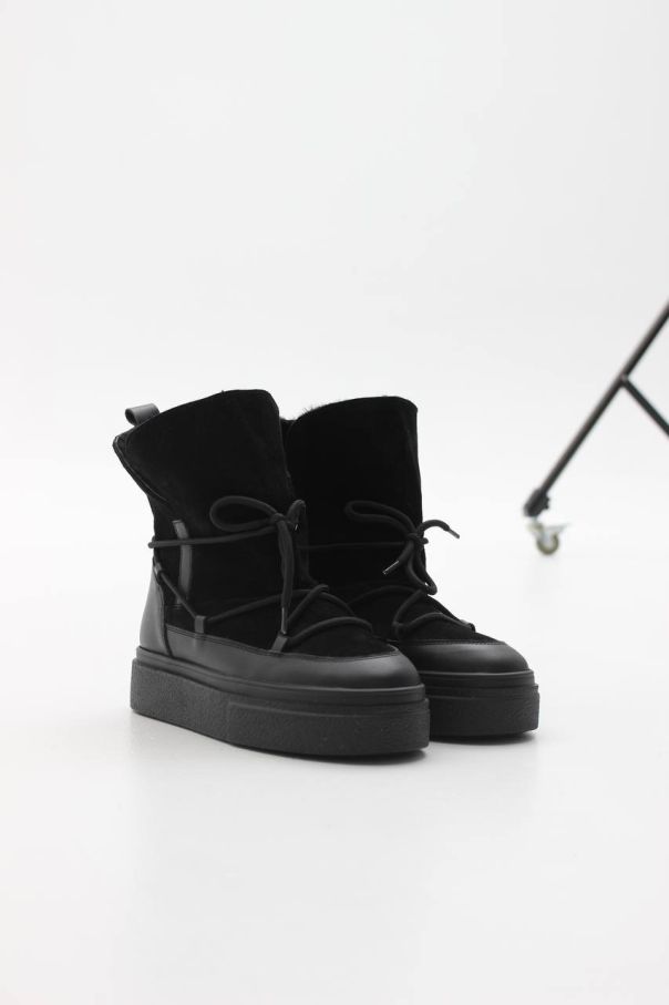 Луноходи чорні