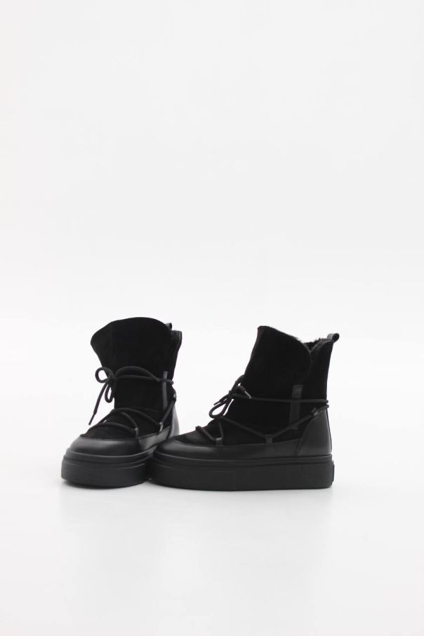 Луноходи чорні