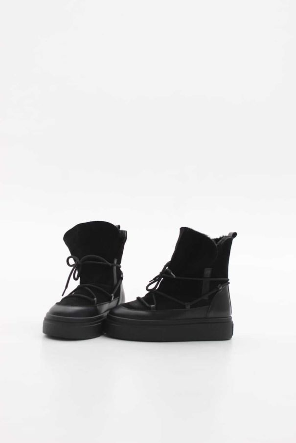 Луноходи чорні