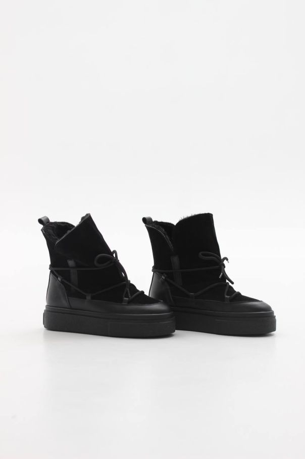 Луноходи чорні