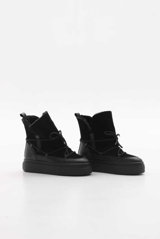 Луноходи чорні