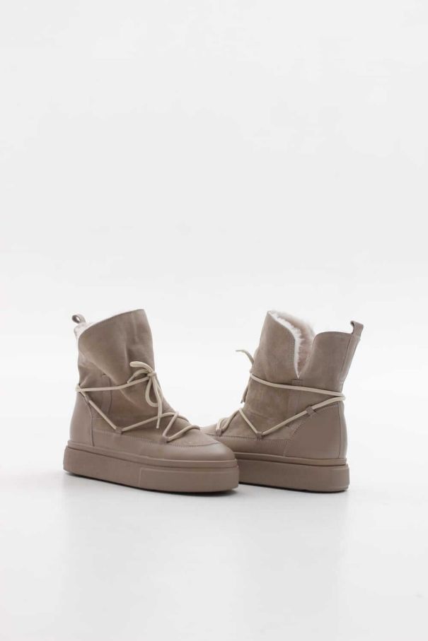 Луноходи пудові