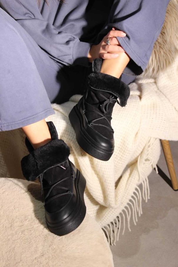 Луноходи чорні